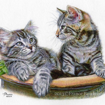 Pot Pals
White Cartridge Paper
7.5" x 10"
Silver & Gold (Laila's first litter) Pot Pals
White Cartridge Paper
7.5" x 10"
Silver & Gold (Laila's first litter)